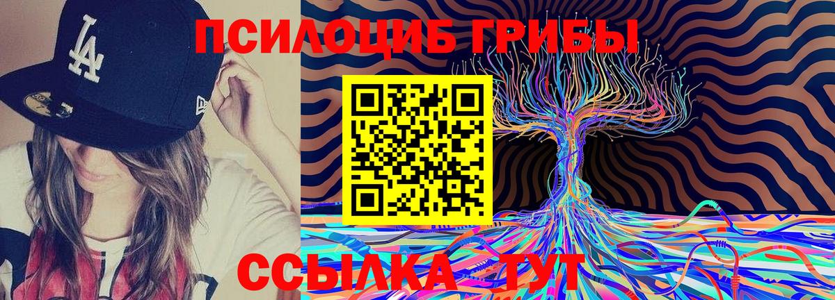 Кострома  Галлюциногенные грибы Cubensis  Вход с VPN  Псилоцибиновые грибы Psilocybe 
